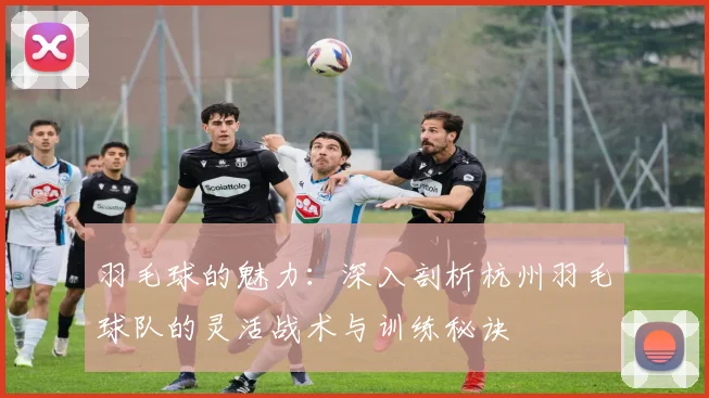 羽毛球的魅力：深入剖析杭州羽毛球队的灵活战术与训练秘诀