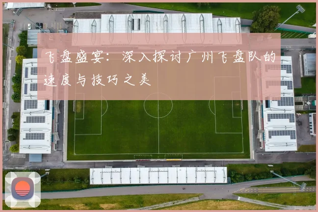 飞盘盛宴：深入探讨广州飞盘队的速度与技巧之美